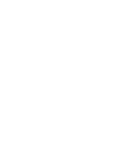 Logo Enterprise Blanco